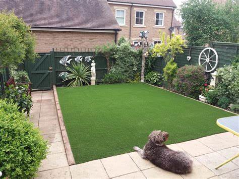 5 Essential Artificial Grass Maintenance Tips for a Beautiful Lawn In San Diego
